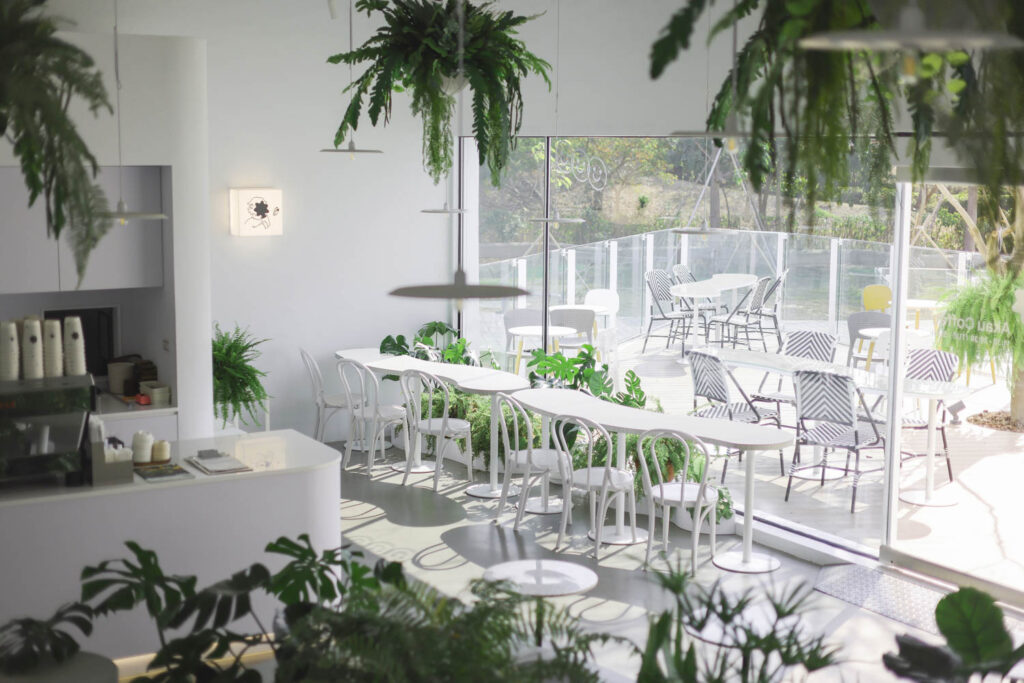 the interiors are all white with pops of green from plants
