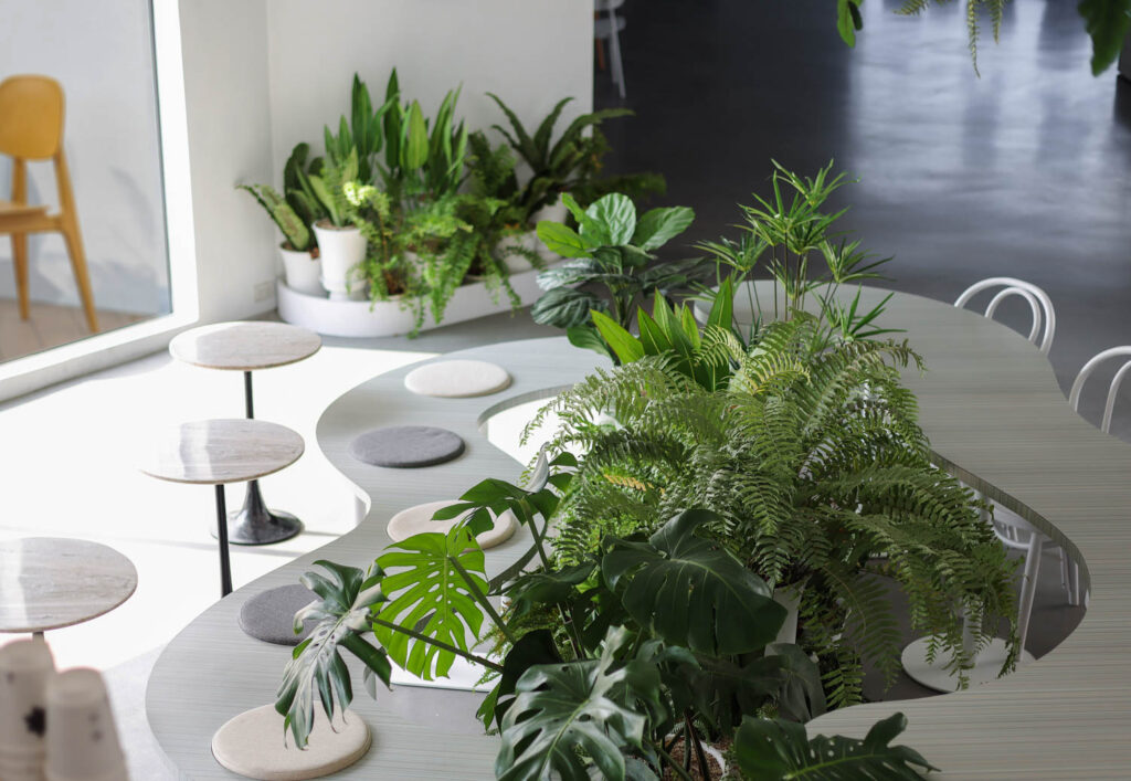plants grow between seating areas