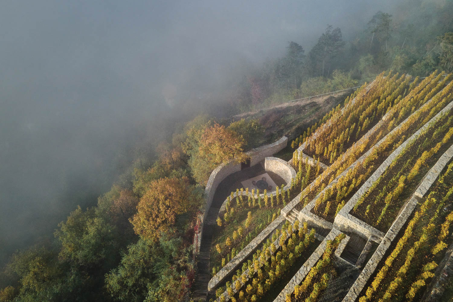 the terraced hillside meets a Fibonacci-inspired patio at a winery