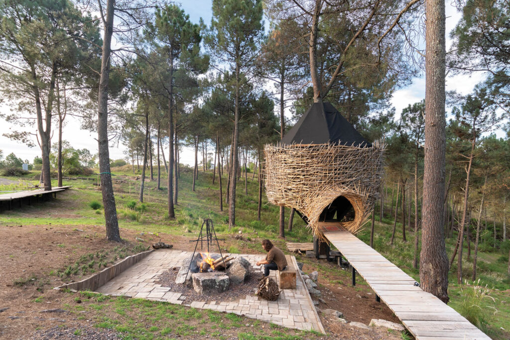 Pablo Dellatorre's A-frame cabin that blends into the forest